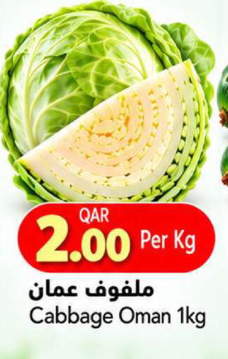 Cabbage from Oman available at جلف فود سنتر in قطر - الشمال
