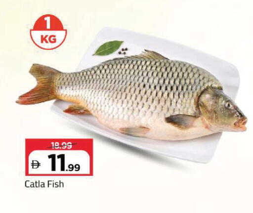 available at مارك & سيف in الإمارات العربية المتحدة , الامارات - أبو ظبي