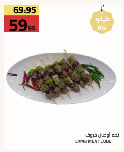 available at أسواق أسترا in مملكة العربية السعودية, السعودية, سعودية - تبوك