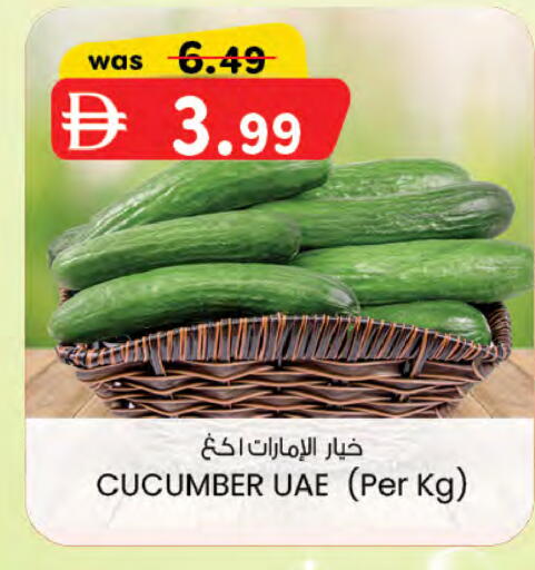 Cucumber available at K M Trading  in UAE - Sharjah / Ajman