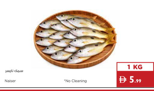 available at إسطنبول سوبرماركت in الإمارات العربية المتحدة , الامارات - دبي