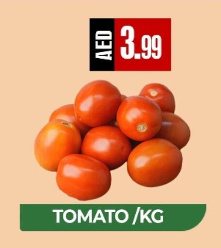 Tomato available at  RIVIERA SUPERMARKET L.L.C in UAE - Abu Dhabi