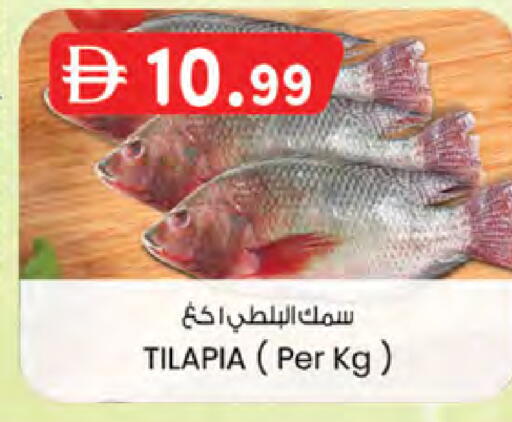 available at الصفا in الإمارات العربية المتحدة , الامارات - ٱلْعَيْن‎