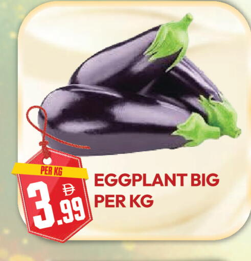 Eggplant available at دريم لاند in الإمارات العربية المتحدة , الامارات - دبي