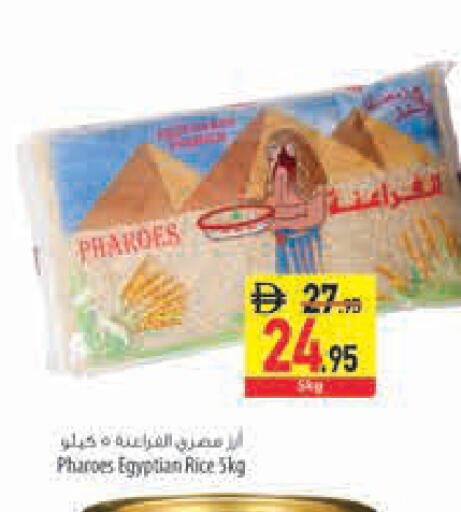 available at Safeer Market in UAE - Sharjah / Ajman