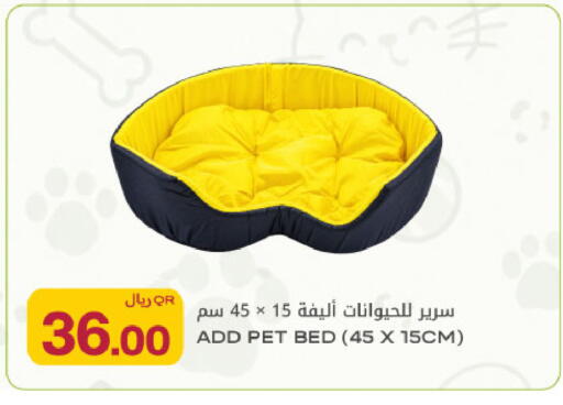 available at شركة الميرة للمواد الاستهلاكية in قطر - الريان