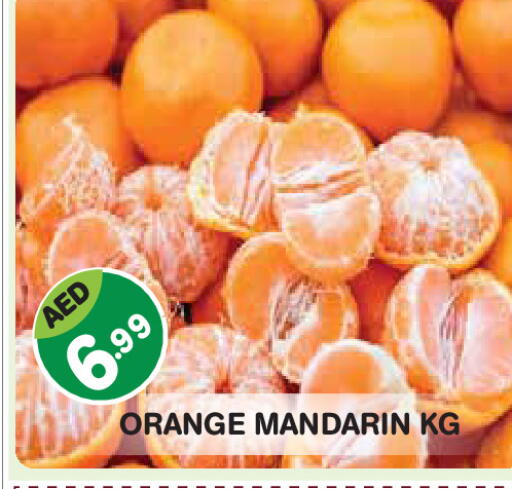 Orange Mandarin available at سنابل بني ياس in الإمارات العربية المتحدة , الامارات - أبو ظبي