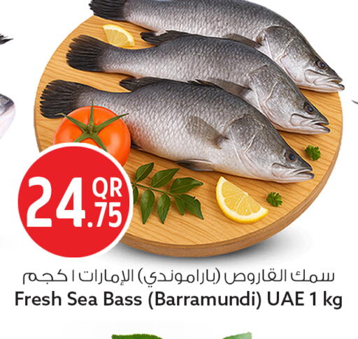 available at سفاري هايبر ماركت in قطر - الشمال