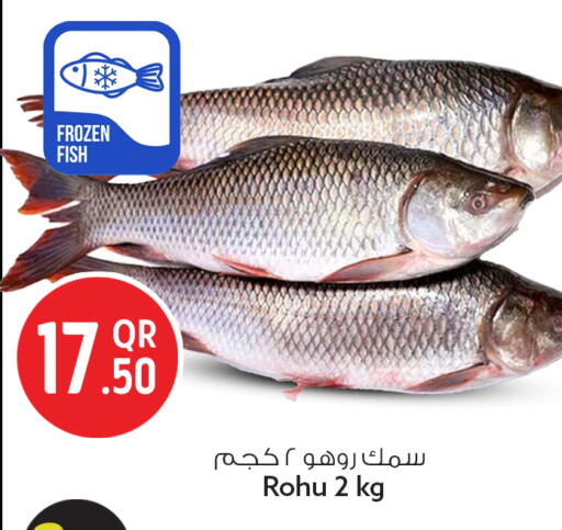 available at سفاري هايبر ماركت in قطر - الشمال