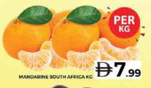 from South Africa available at جراند هايبر ماركت in الإمارات العربية المتحدة , الامارات - الشارقة / عجمان