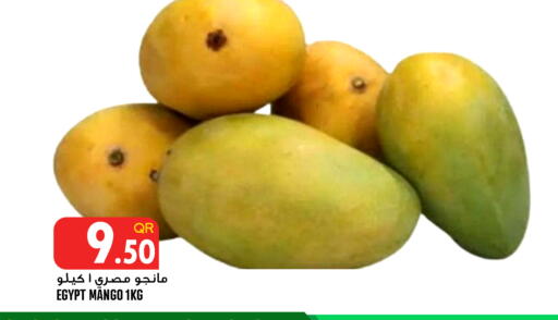 from Egypt available at قصر الأغذية هايبرماركت in قطر - أم صلال