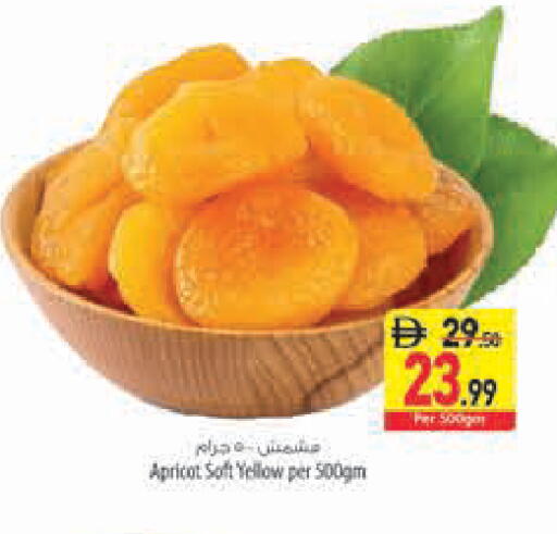 Apricot available at السفير ماركت in الإمارات العربية المتحدة , الامارات - الشارقة / عجمان