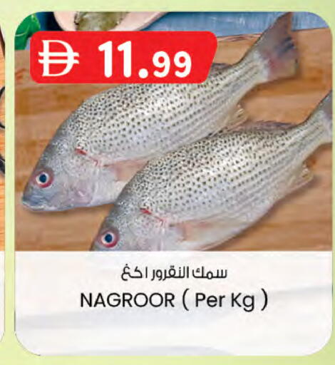 available at K M Trading  in UAE - Sharjah / Ajman