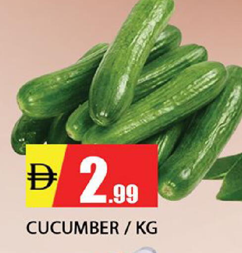 Cucumber available at المدينة in الإمارات العربية المتحدة , الامارات - الشارقة / عجمان