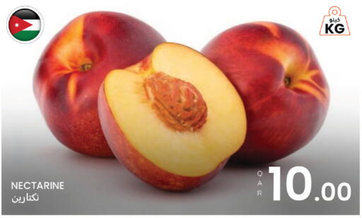 Nectarine available at البلدي اليوم in قطر - الريان