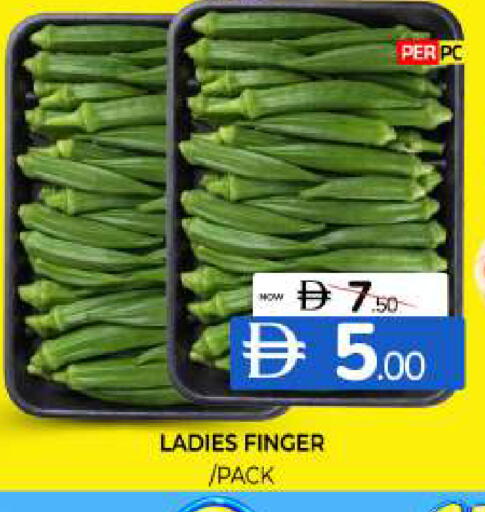available at المدينة in الإمارات العربية المتحدة , الامارات - الشارقة / عجمان