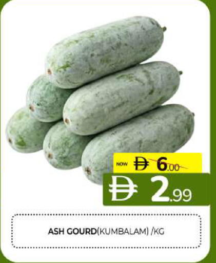available at المدينة in الإمارات العربية المتحدة , الامارات - الشارقة / عجمان