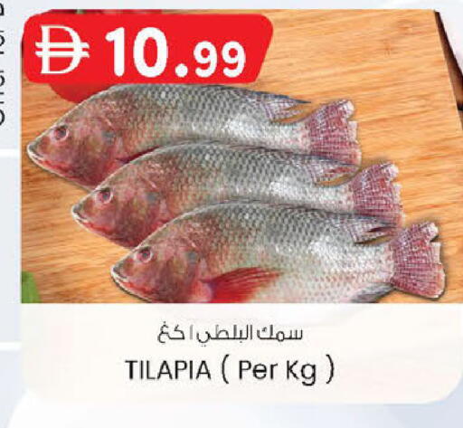 available at ك. إم. هايبرماركت in الإمارات العربية المتحدة , الامارات - ٱلْعَيْن‎