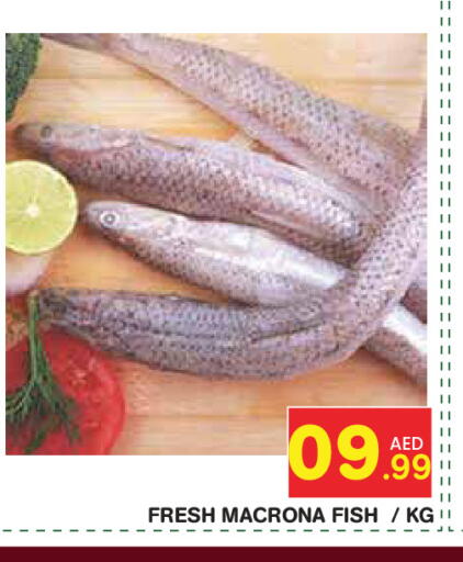 available at سنابل بني ياس in الإمارات العربية المتحدة , الامارات - أبو ظبي