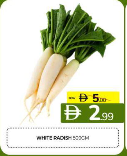 Radish available at المدينة in الإمارات العربية المتحدة , الامارات - الشارقة / عجمان