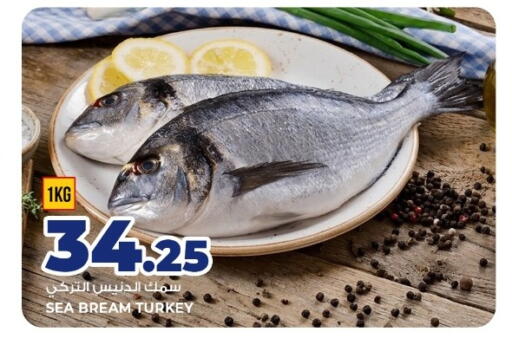 available at روابي هايبرماركت in قطر - الريان