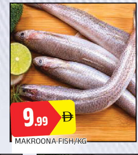 available at AL MADINA in UAE - Sharjah / Ajman
