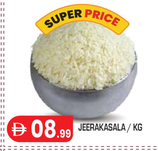 available at سنابل بني ياس in الإمارات العربية المتحدة , الامارات - أبو ظبي