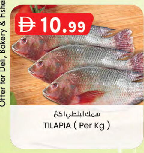 available at K M Trading  in UAE - Sharjah / Ajman