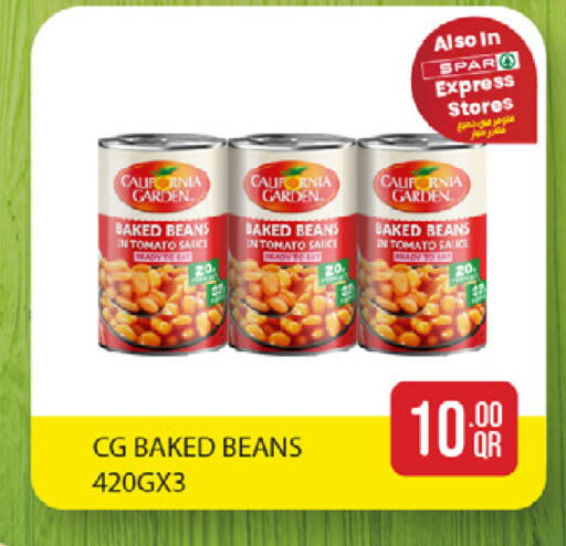 Tomato available at ســبــار in قطر - الريان