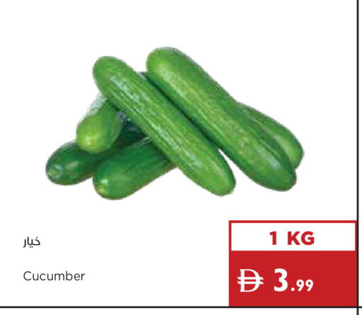 Cucumber available at Istanbul Supermarket in UAE - Ras al Khaimah