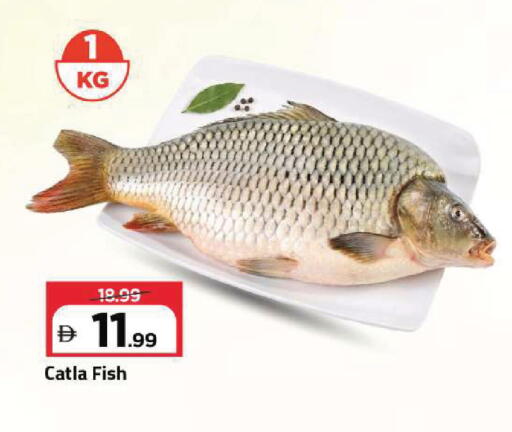 available at Mark & Save in UAE - Sharjah / Ajman