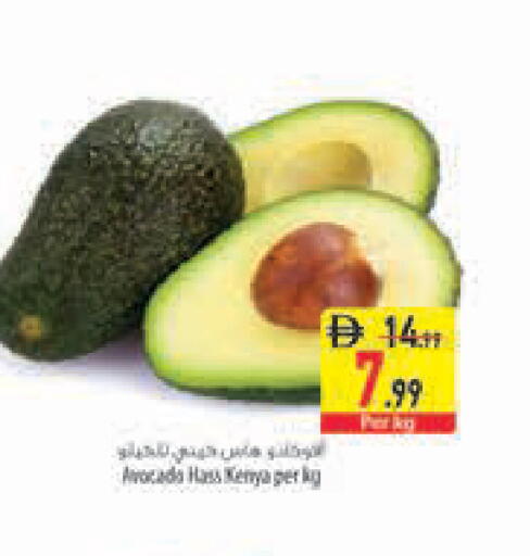 Avocado available at السفير ماركت in الإمارات العربية المتحدة , الامارات - أبو ظبي