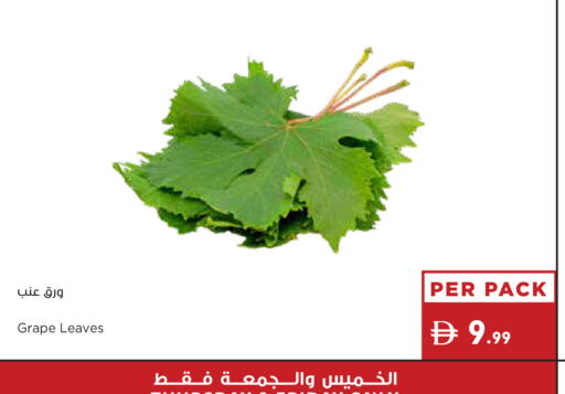 available at إسطنبول سوبرماركت in الإمارات العربية المتحدة , الامارات - رَأْس ٱلْخَيْمَة