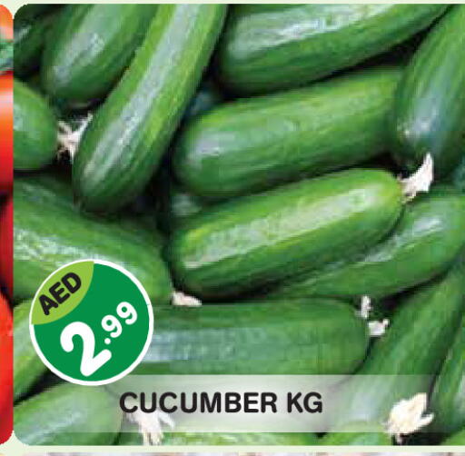Cucumber available at سنابل بني ياس in الإمارات العربية المتحدة , الامارات - أبو ظبي