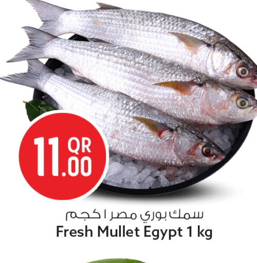 available at سفاري هايبر ماركت in قطر - الشمال