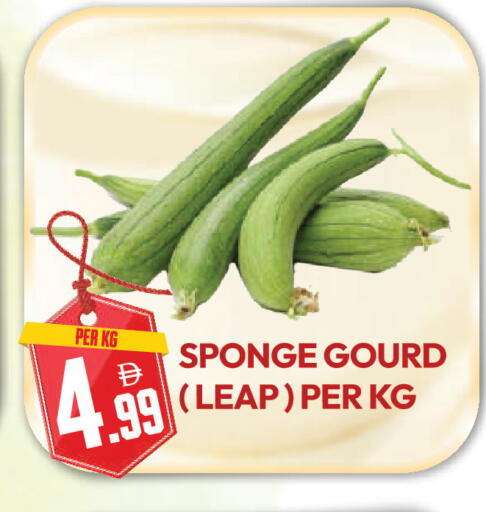 available at دريم لاند in الإمارات العربية المتحدة , الامارات - دبي