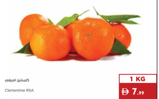 available at إسطنبول سوبرماركت in الإمارات العربية المتحدة , الامارات - دبي
