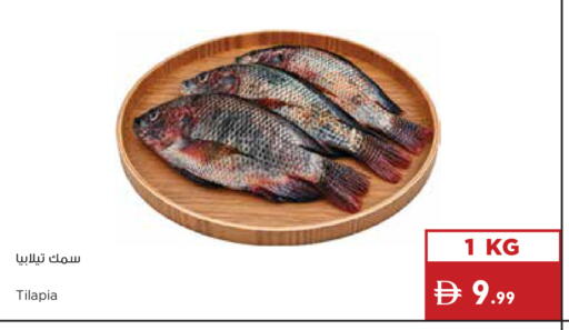available at إسطنبول سوبرماركت in الإمارات العربية المتحدة , الامارات - رَأْس ٱلْخَيْمَة