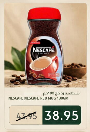 available at Astra Markets in KSA, Saudi Arabia, Saudi - Tabuk