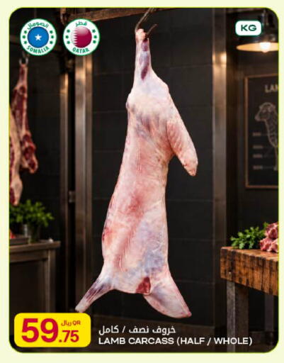 available at شركة الميرة للمواد الاستهلاكية in قطر - الريان