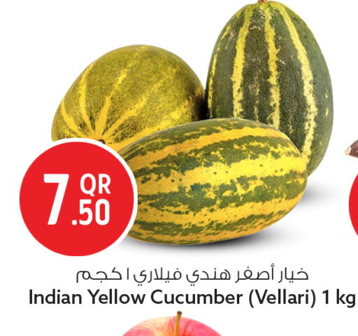 Cucumber from India available at سفاري هايبر ماركت in قطر - الشمال