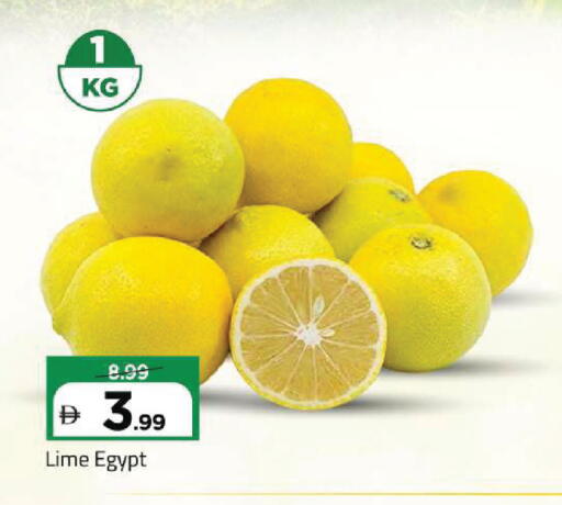 from Egypt available at مارك & سيف in الإمارات العربية المتحدة , الامارات - أبو ظبي