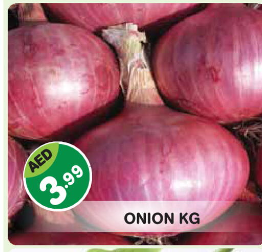 Onion available at سنابل بني ياس in الإمارات العربية المتحدة , الامارات - أبو ظبي