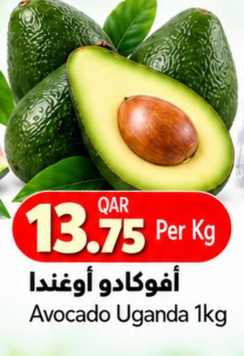 Avocado from Uganda available at جلف فود سنتر in قطر - الشحانية
