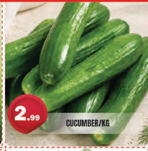 Cucumber available at سنابل بني ياس in الإمارات العربية المتحدة , الامارات - أبو ظبي