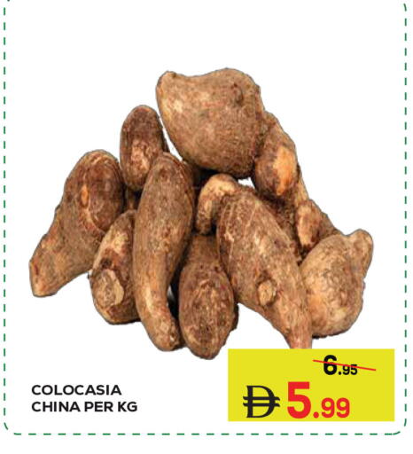 from China available at كيرالا هايبرماركت in الإمارات العربية المتحدة , الامارات - رَأْس ٱلْخَيْمَة
