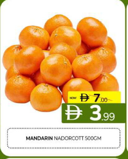 Mandarin available at المدينة in الإمارات العربية المتحدة , الامارات - الشارقة / عجمان