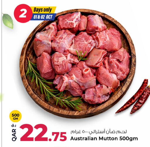 available at روابي هايبرماركت in قطر - الشمال