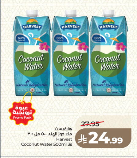 Coconut available at لولو هايبرماركت in مملكة العربية السعودية, السعودية, سعودية - جدة
