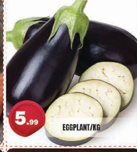 Eggplant available at سنابل بني ياس in الإمارات العربية المتحدة , الامارات - أبو ظبي